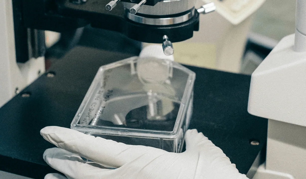 伴走型技術開発